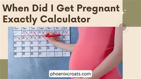 When Did I Get Pregnant Exactly Calculator